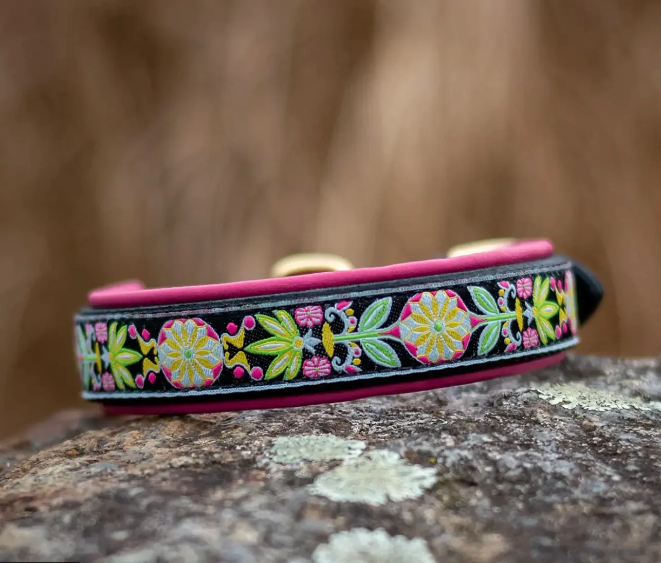 Best Leather Dog Collars