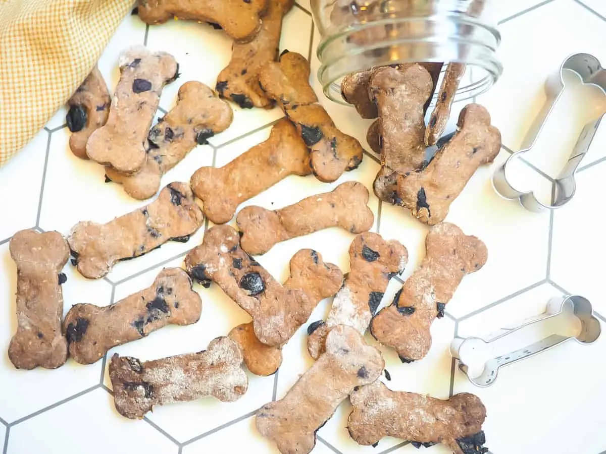 Blueberry Dog Treat Recipes
