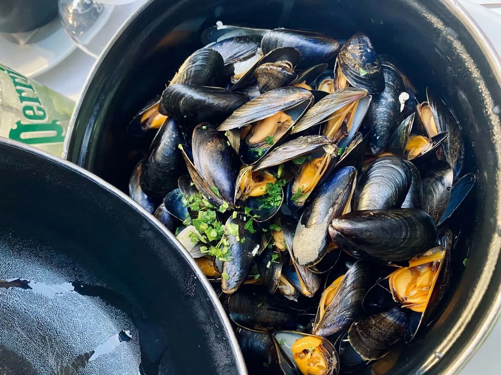 Can Dogs Eat Mussels