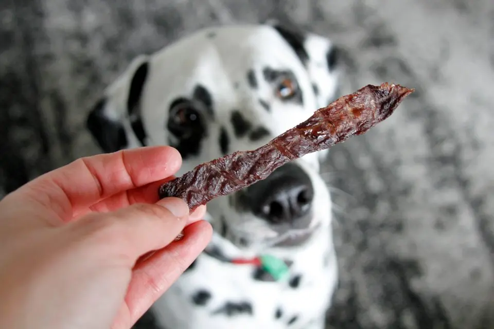 How to make jerky for dogs