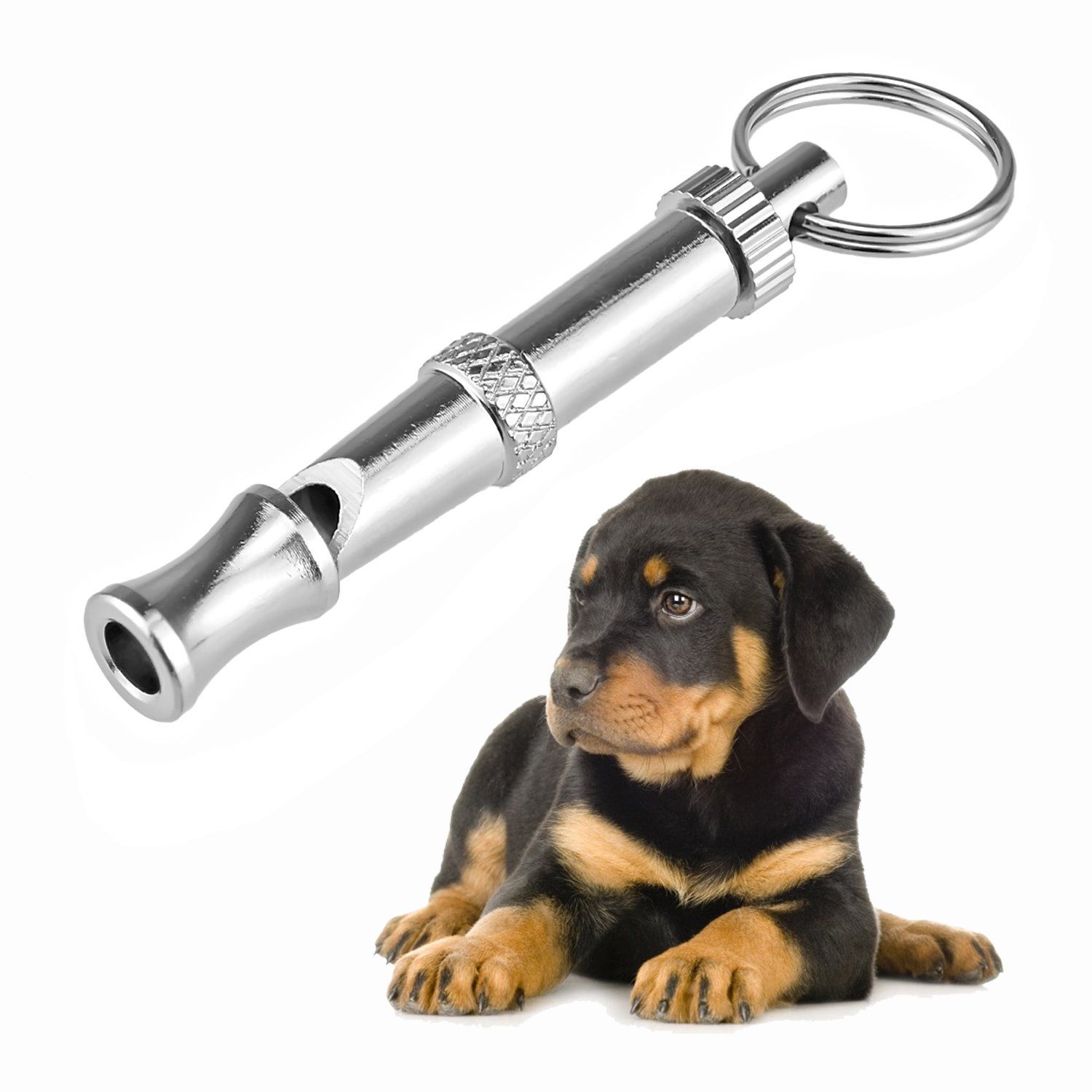 Dog Whistle