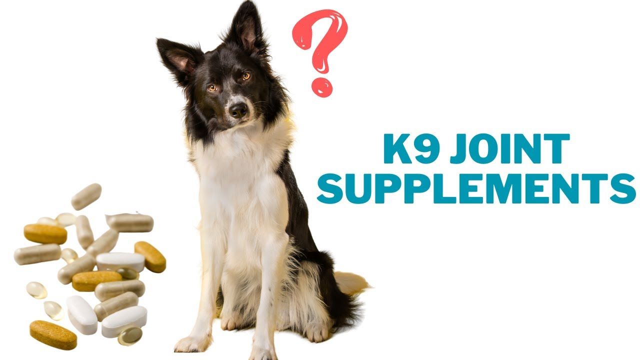 Joint supplements for dogs