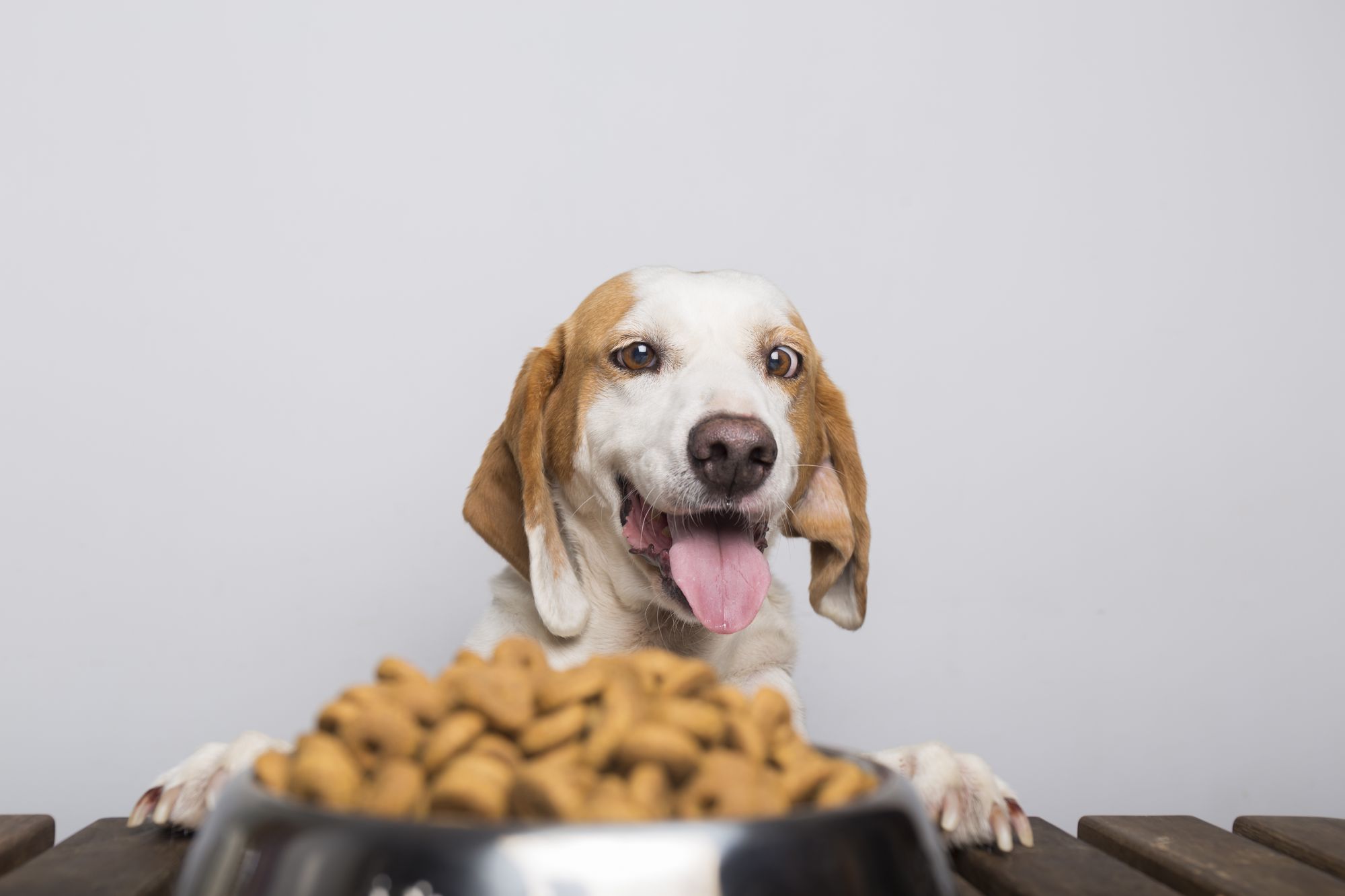Air Dried Dog Food