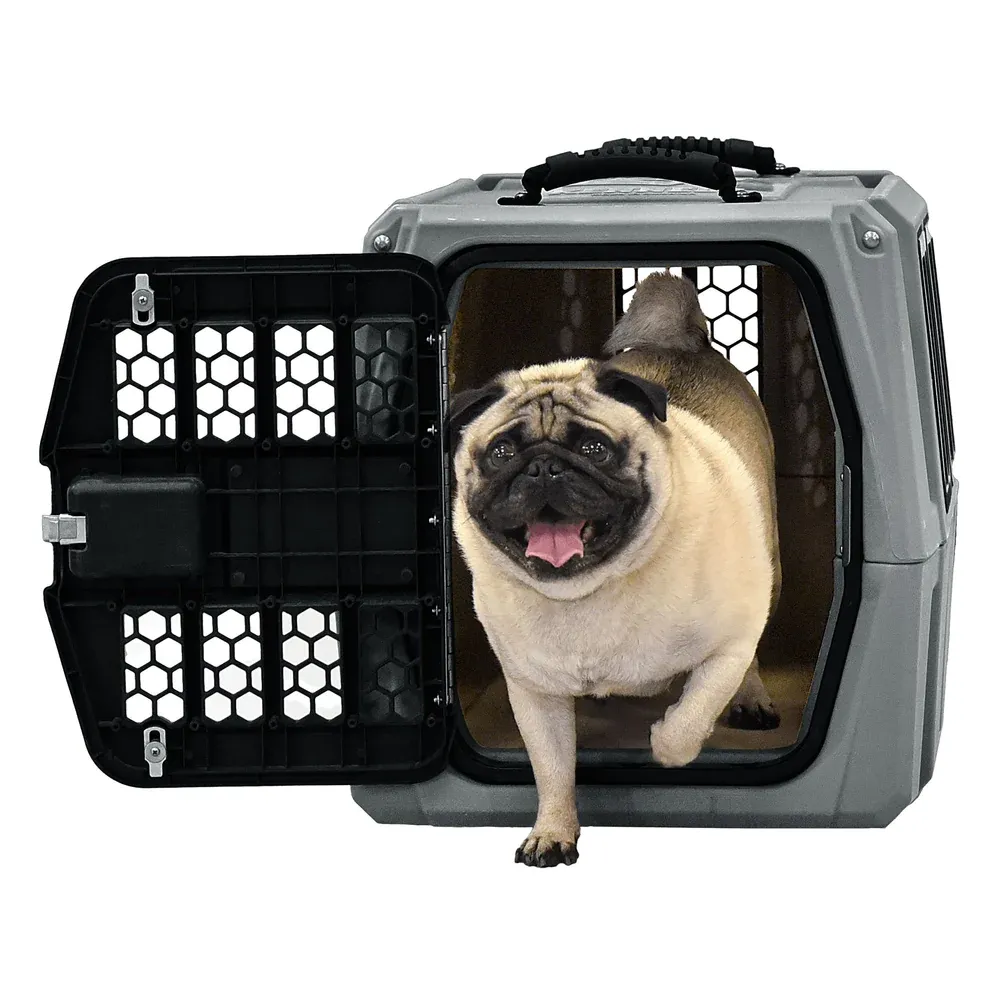 The 3 Best Dog Crates for Pug