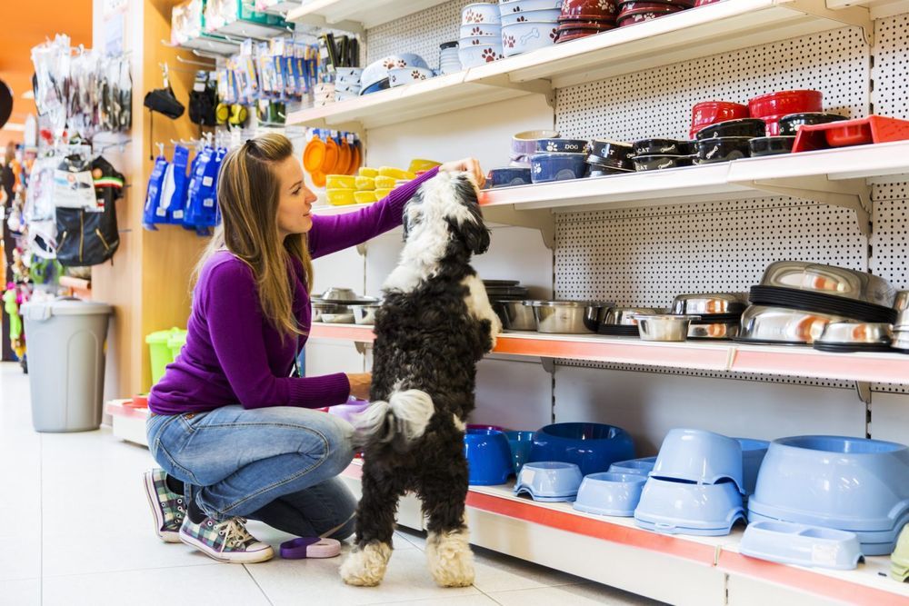 Donate to Animal Shelters