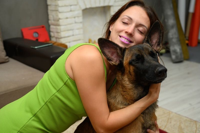Do Belgian Malinois Like to Cuddle