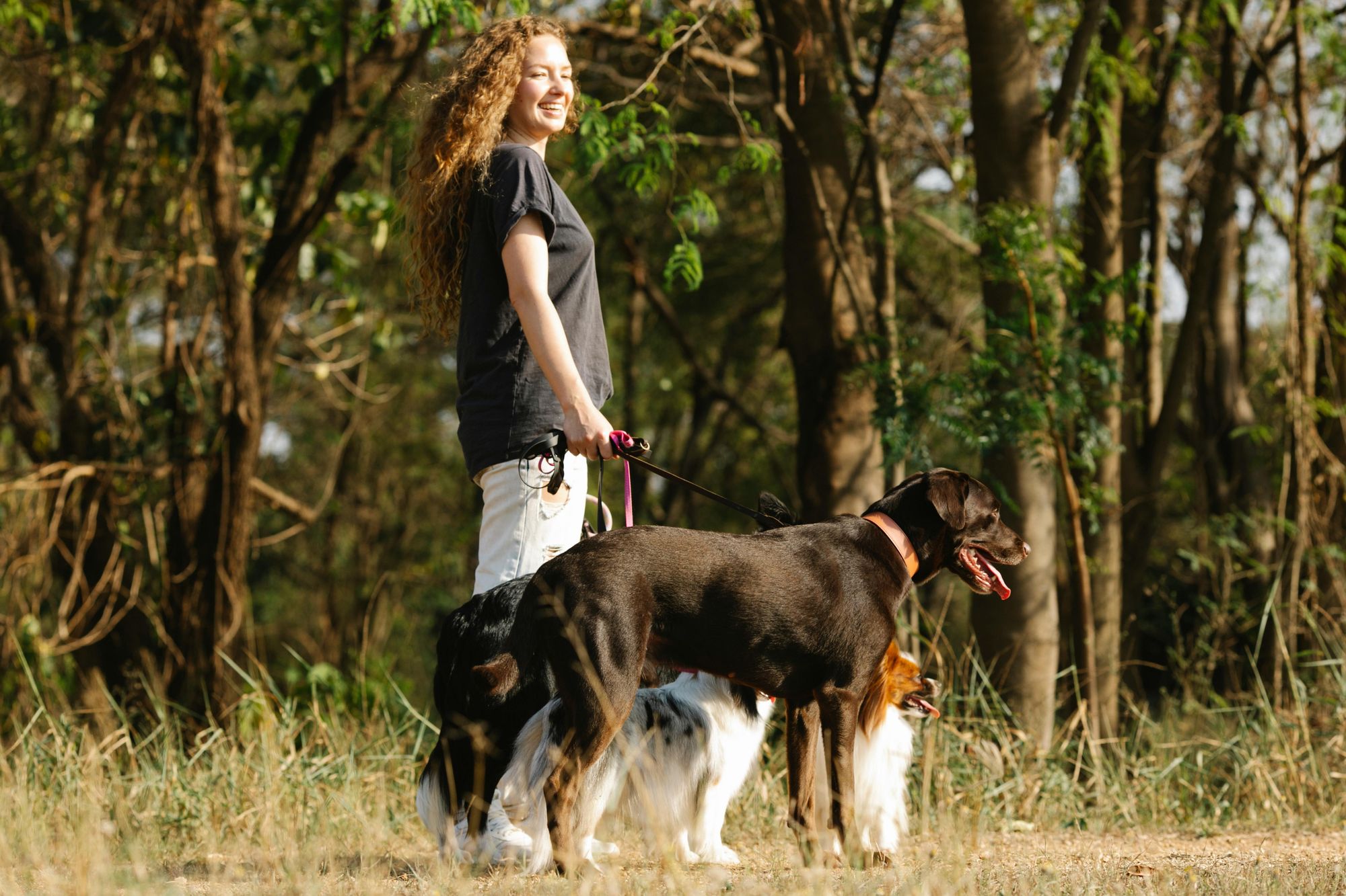 Louisville's Dog-Friendly Finds: Parks, Patios, and More