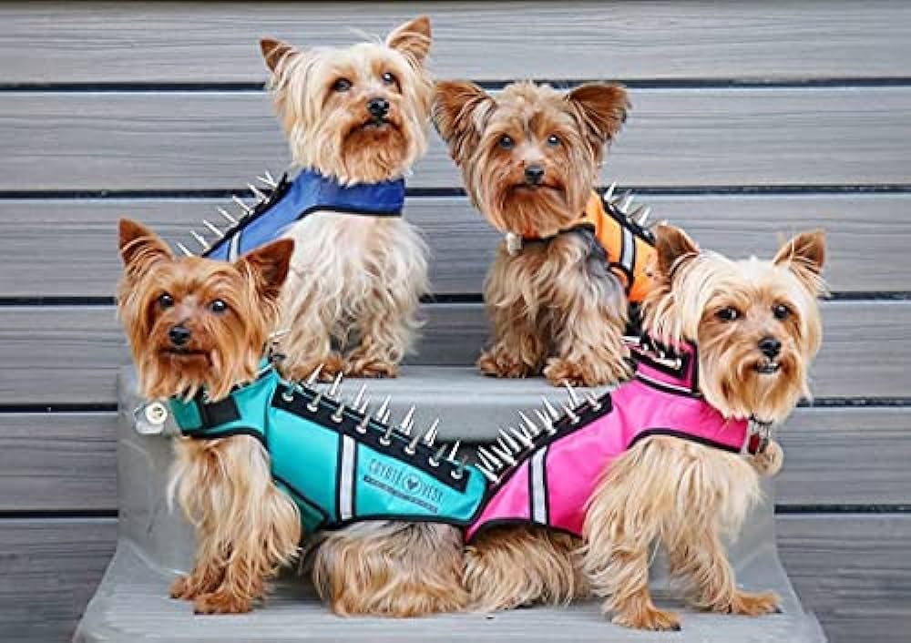 Hawk Vest for Dogs