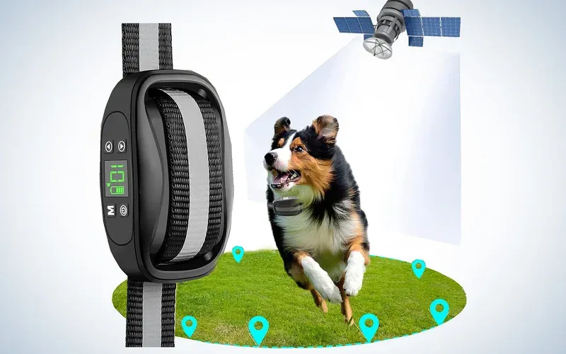 Perimeter Collar for Dogs