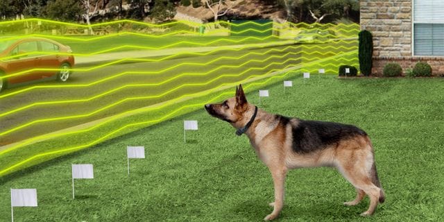 what is an electric dog fence