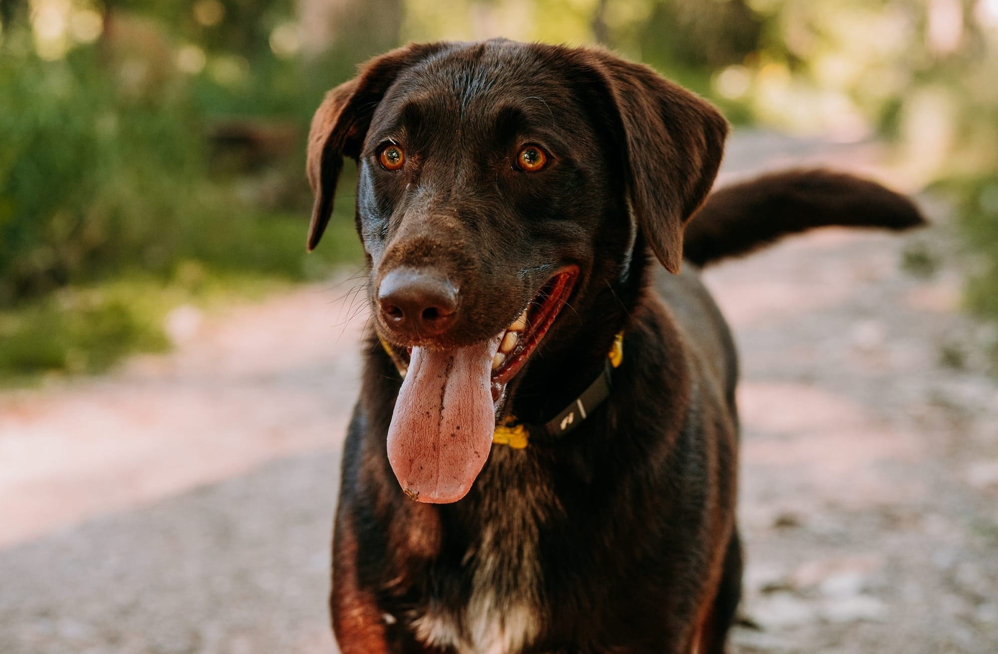 What is Geofence Technology