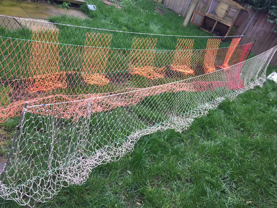 Rabbit Dog Net