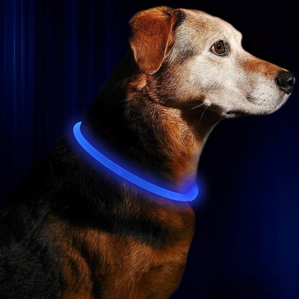 Dog Light Up Collar