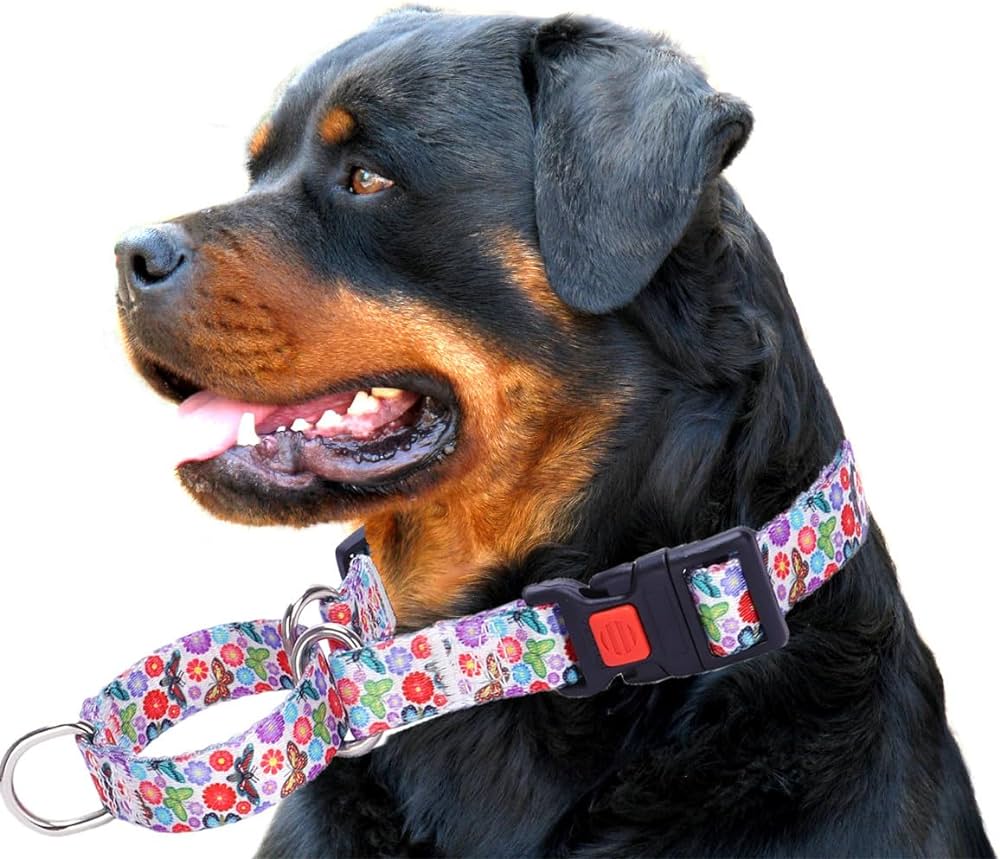 Prevent Dog Slipping Out of Collar