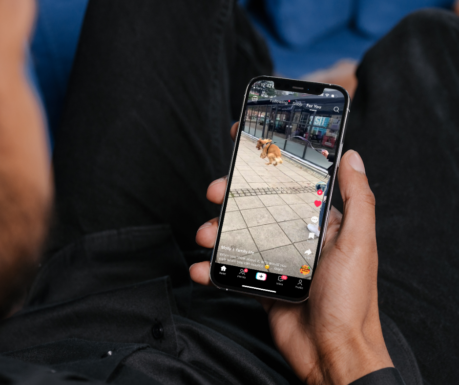 1/12/24: Fi’s Favorite Dog Videos of The Week