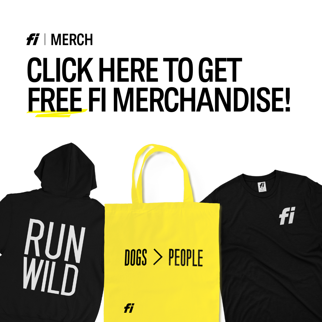 Post Your Fi Collar On Instagram And Get Free Fi Merchandise