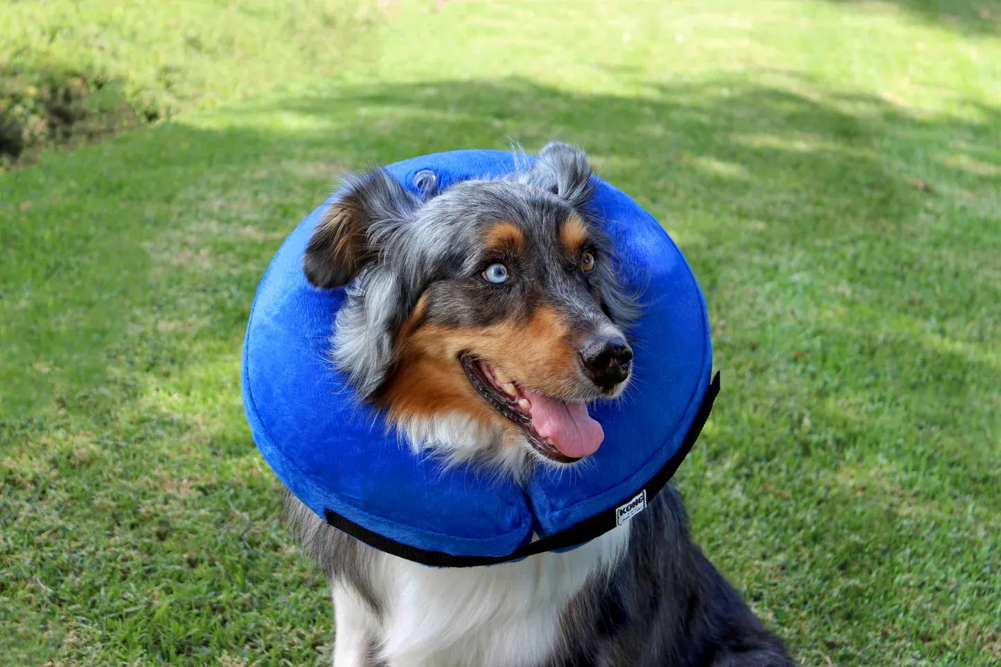 Inflatable Dog Collar