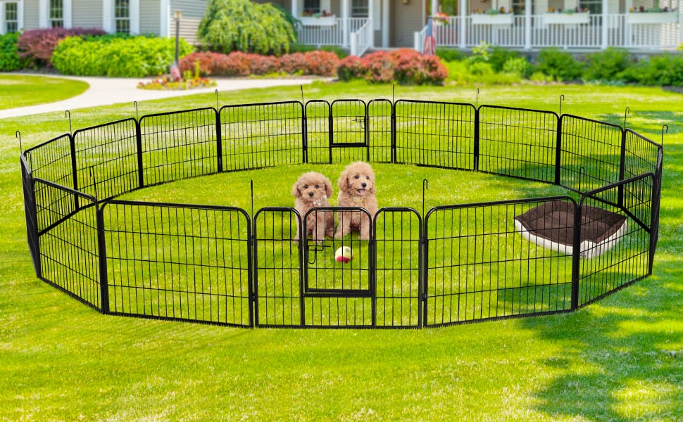 Backyard Temporary Fence for Dog