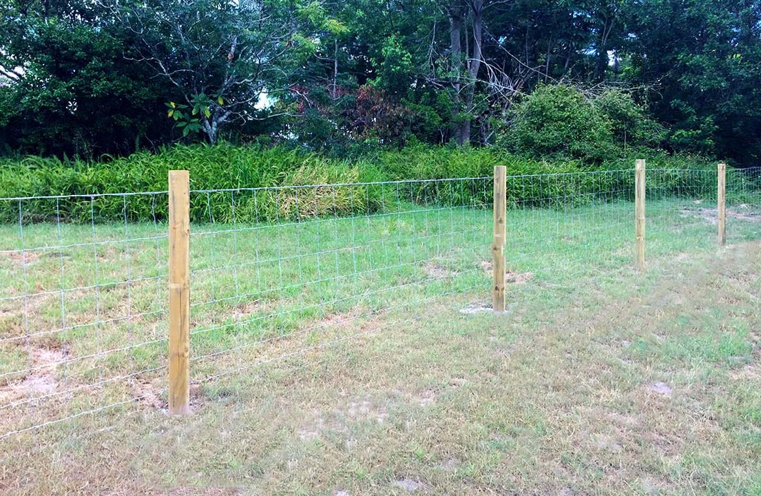 What Fence is Best for Dogs