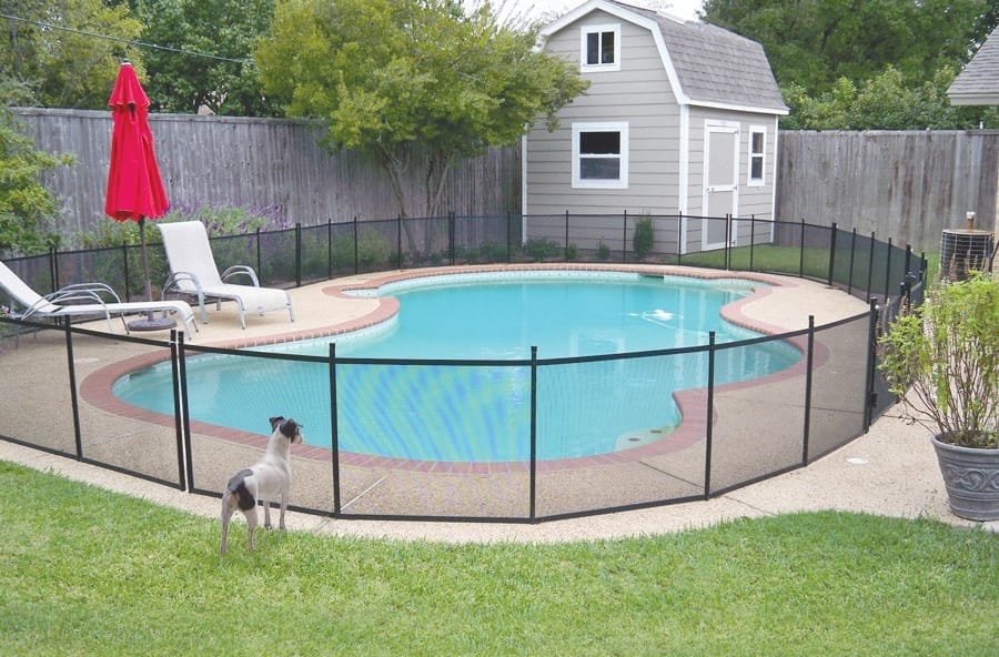 Dog Fence Around Pool