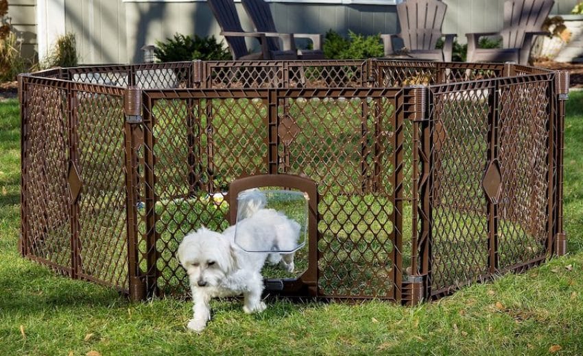 Collapsible Fence for Dogs
