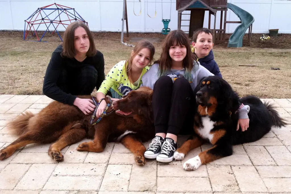 Are Mastiffs Good Family Dogs