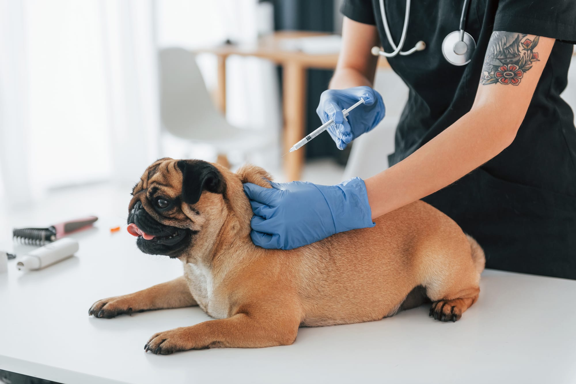 How Much Are Dog Shots