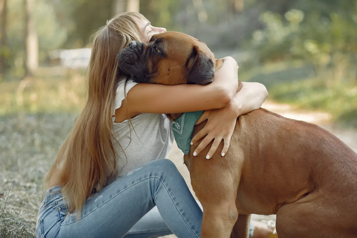 Emotional Support Dog Breeds