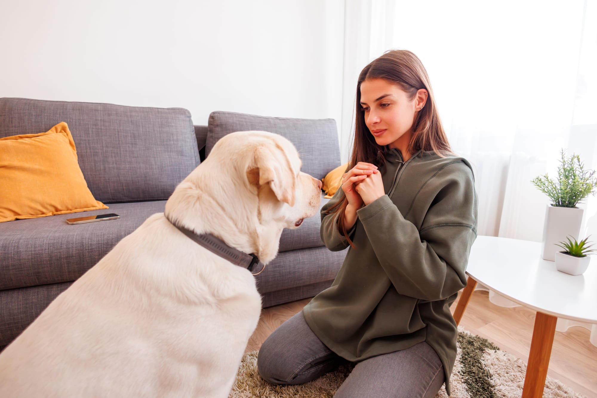 Why Is My Female Dog Always Hungry: Causes And Solutions