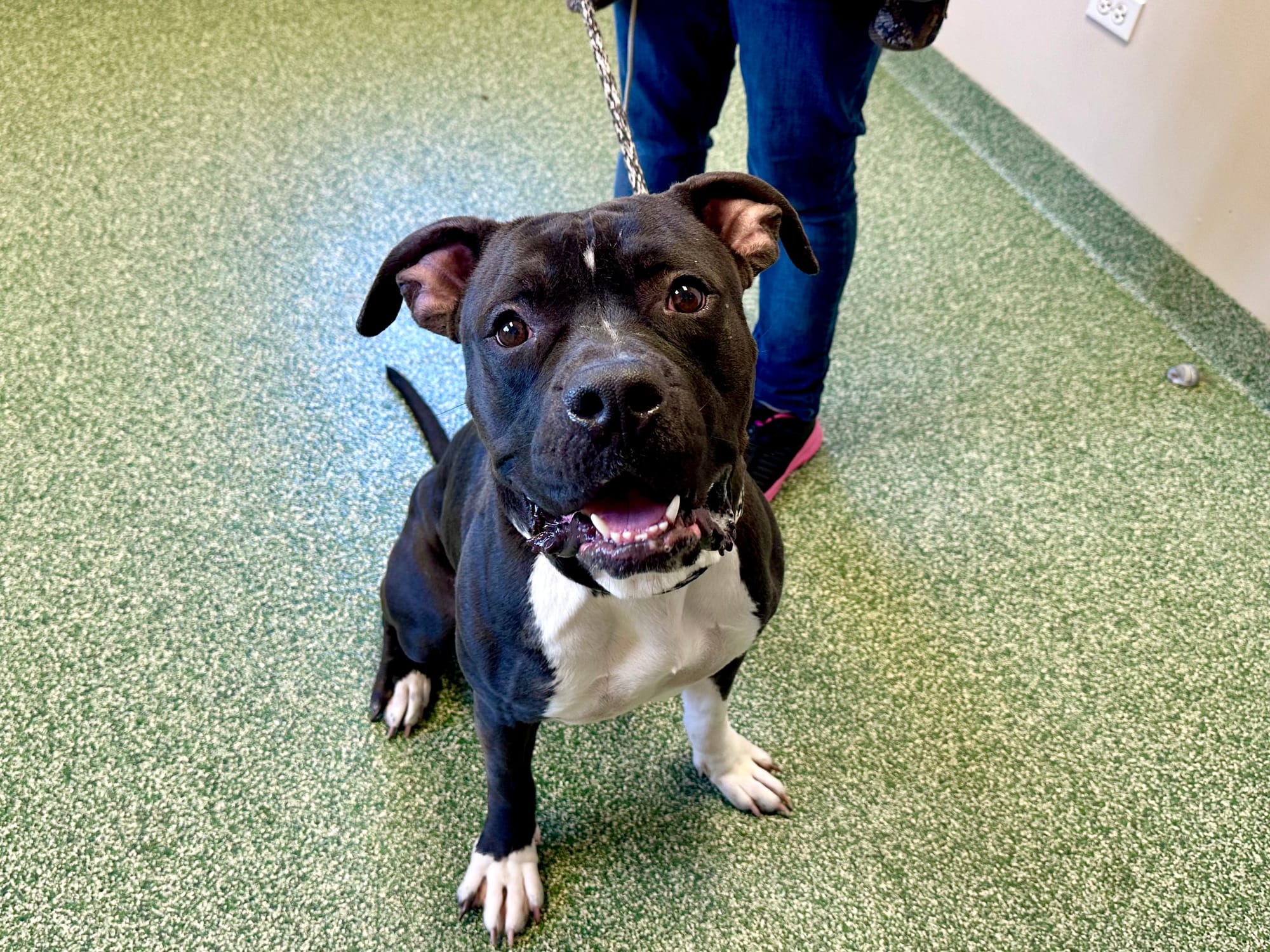 Spotlight: Northwest Rescue Network Team