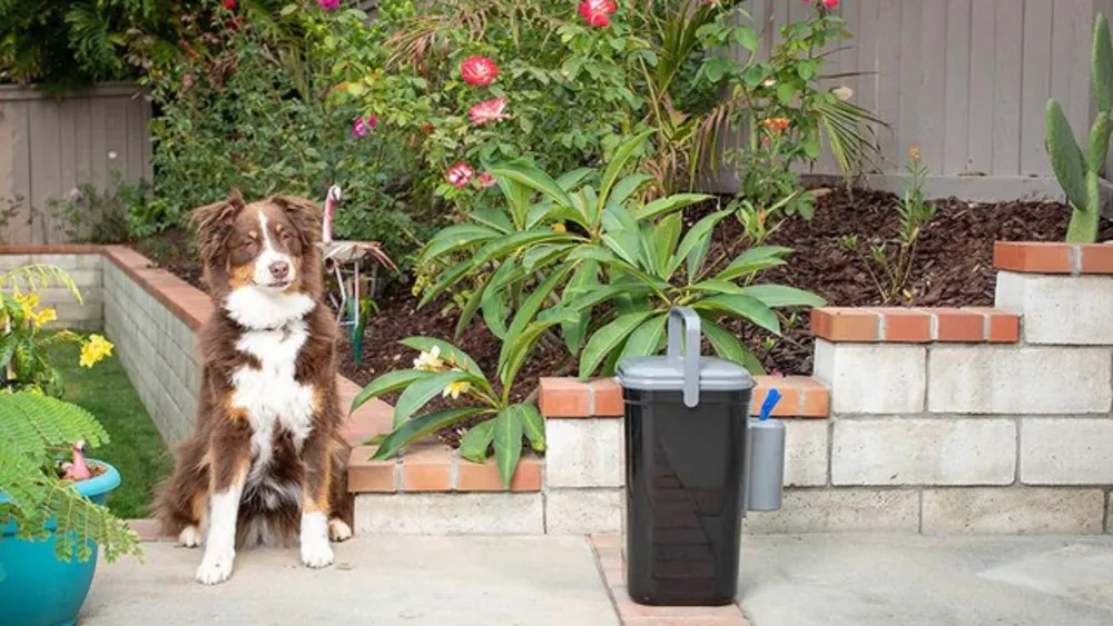 Outdoor Dog Poop Trash Can: