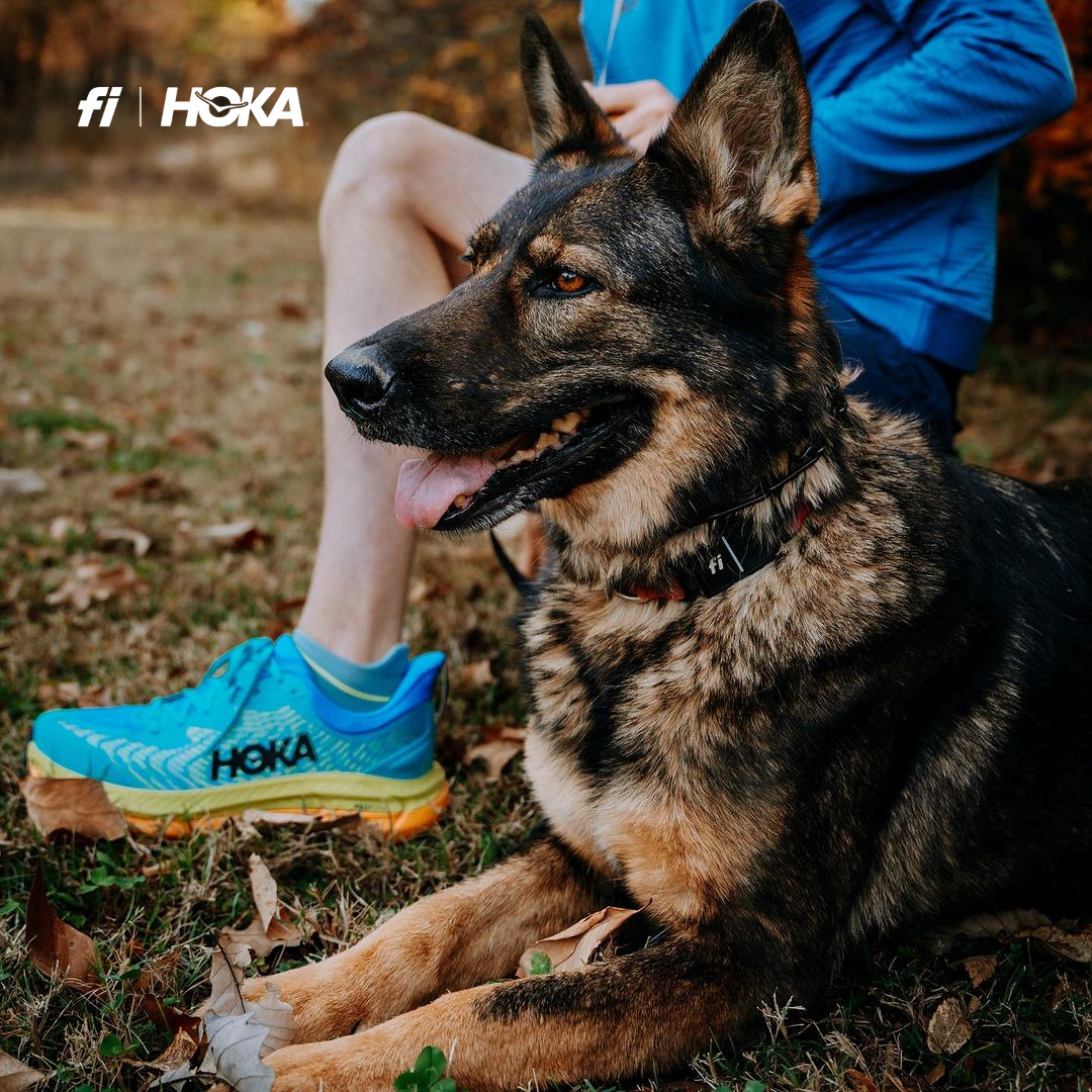 Win FREE Hoka's On Us, Here's How: