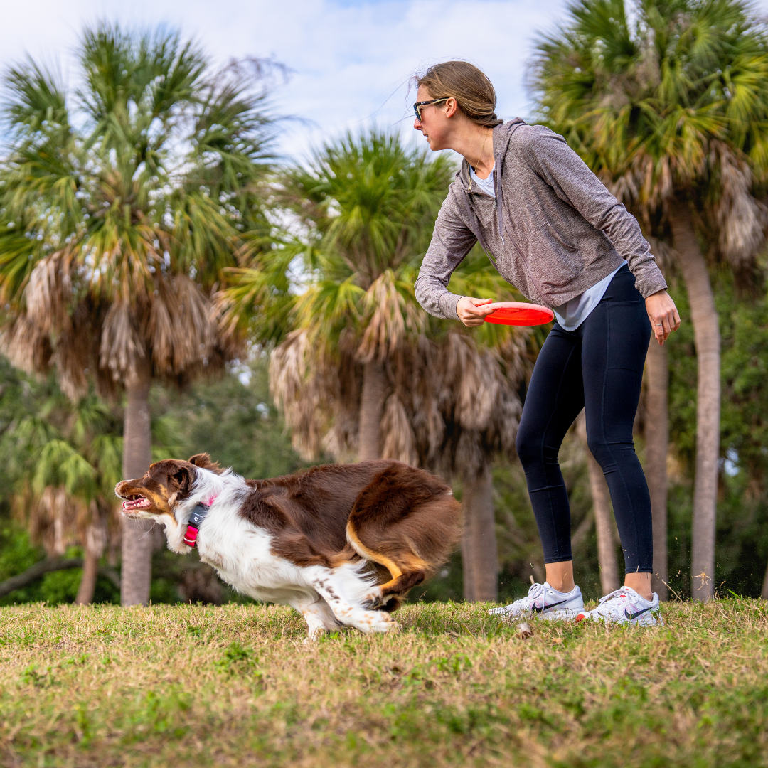 Join Our K9 Fitness Challenge & Win Free Swag