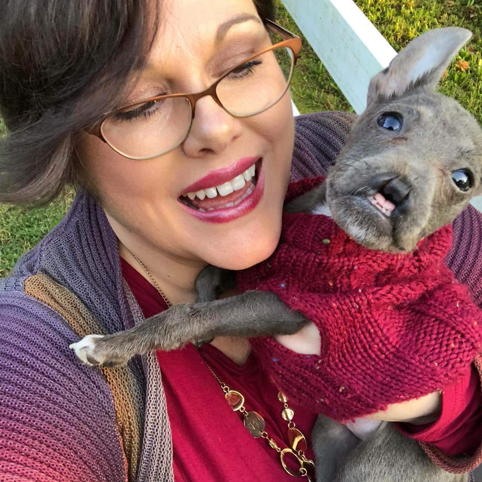 Rescue Spotlight: Sanctuary Rescue