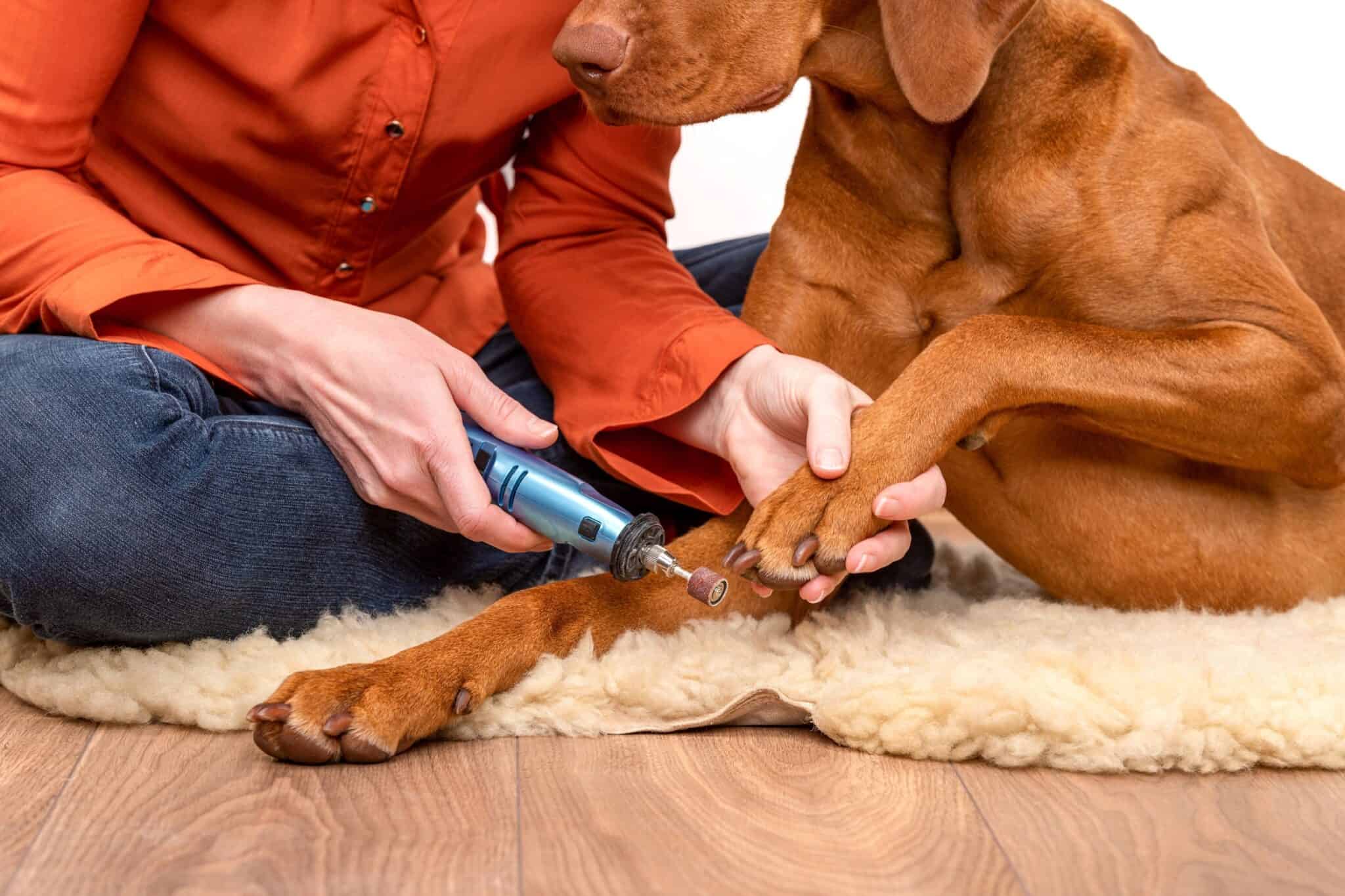 Nail Dremel for Dog