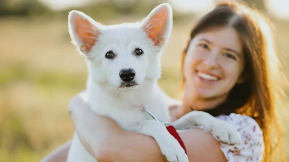 White Dog Names