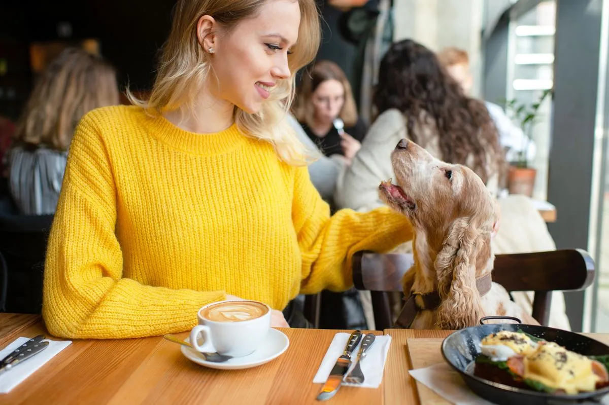 Dog-Friendly Restaurants