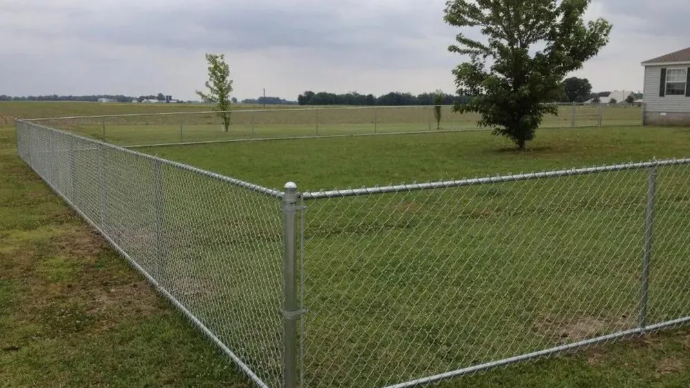 How Far Apart Should Fence Posts Be for Dogs