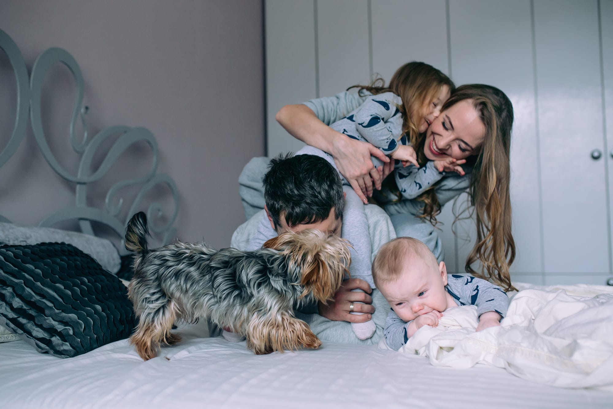 Good Small Family Dogs