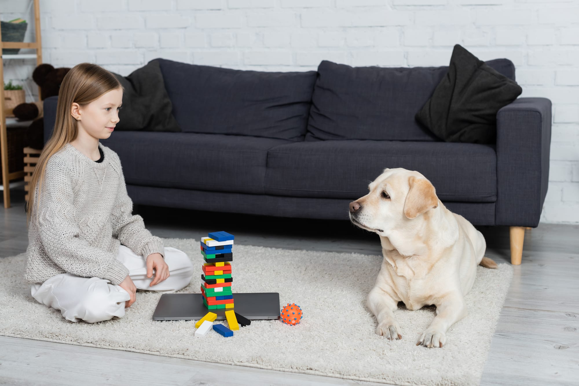 Puzzle Toys for Dogs