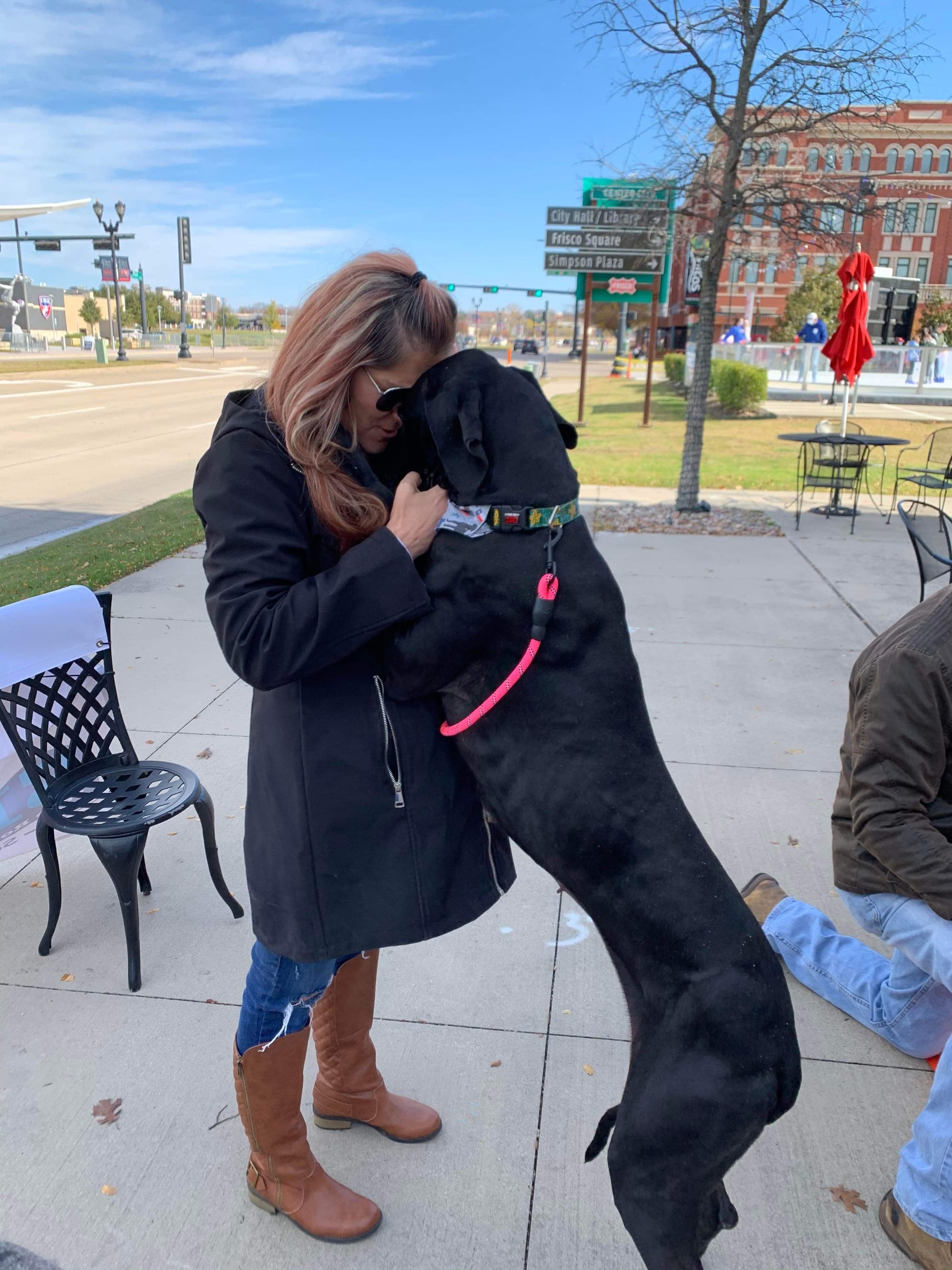 Rescue Spotlight: Save Rocky the Great Dane Rescue and Rehab (SRGDRR)