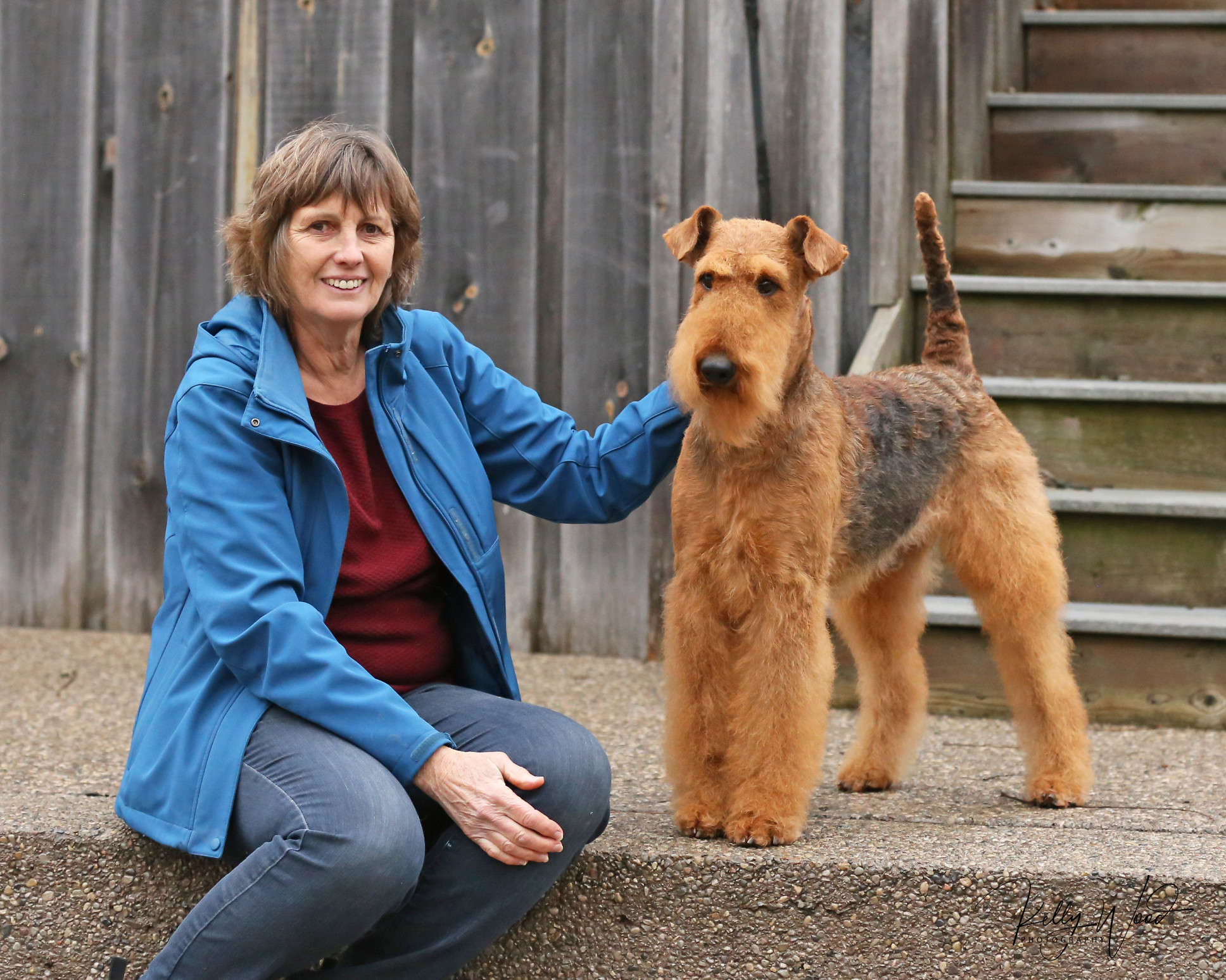 Are Airedale Terriers Good Family Dogs?