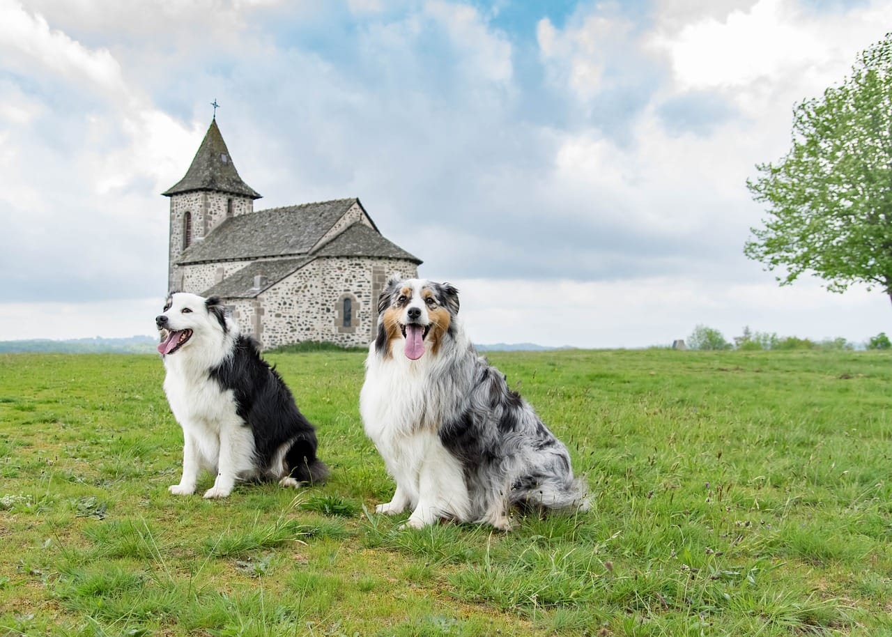 Nature Dog Names