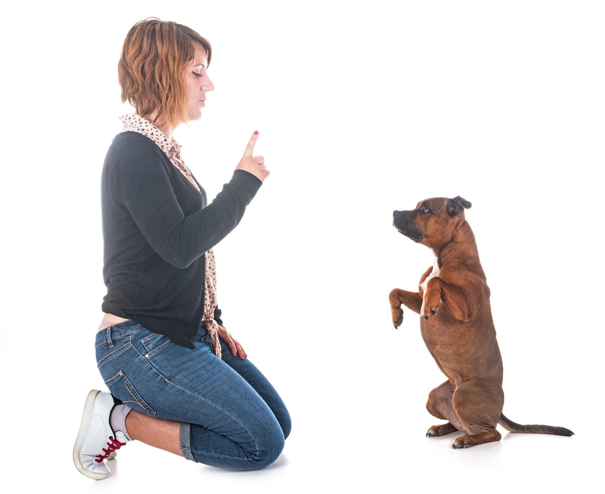 Sign Language for Deaf Dogs
