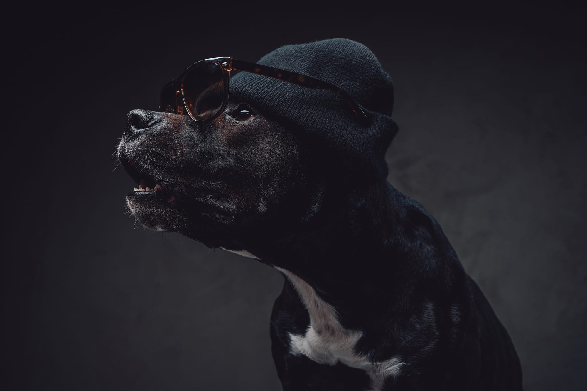 Gangster Dog Names