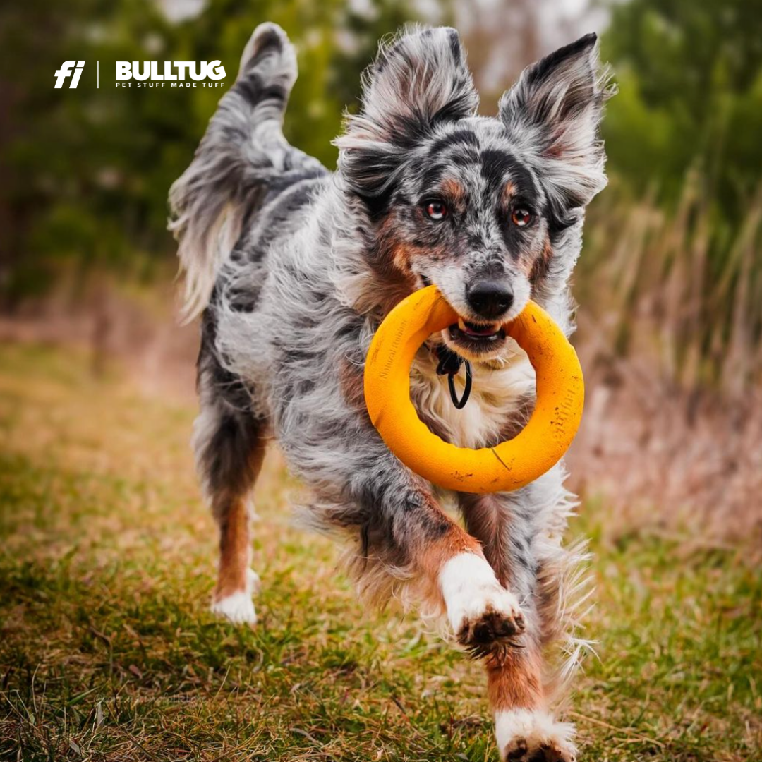 Enter to Win a Lifetime Supply of Toys