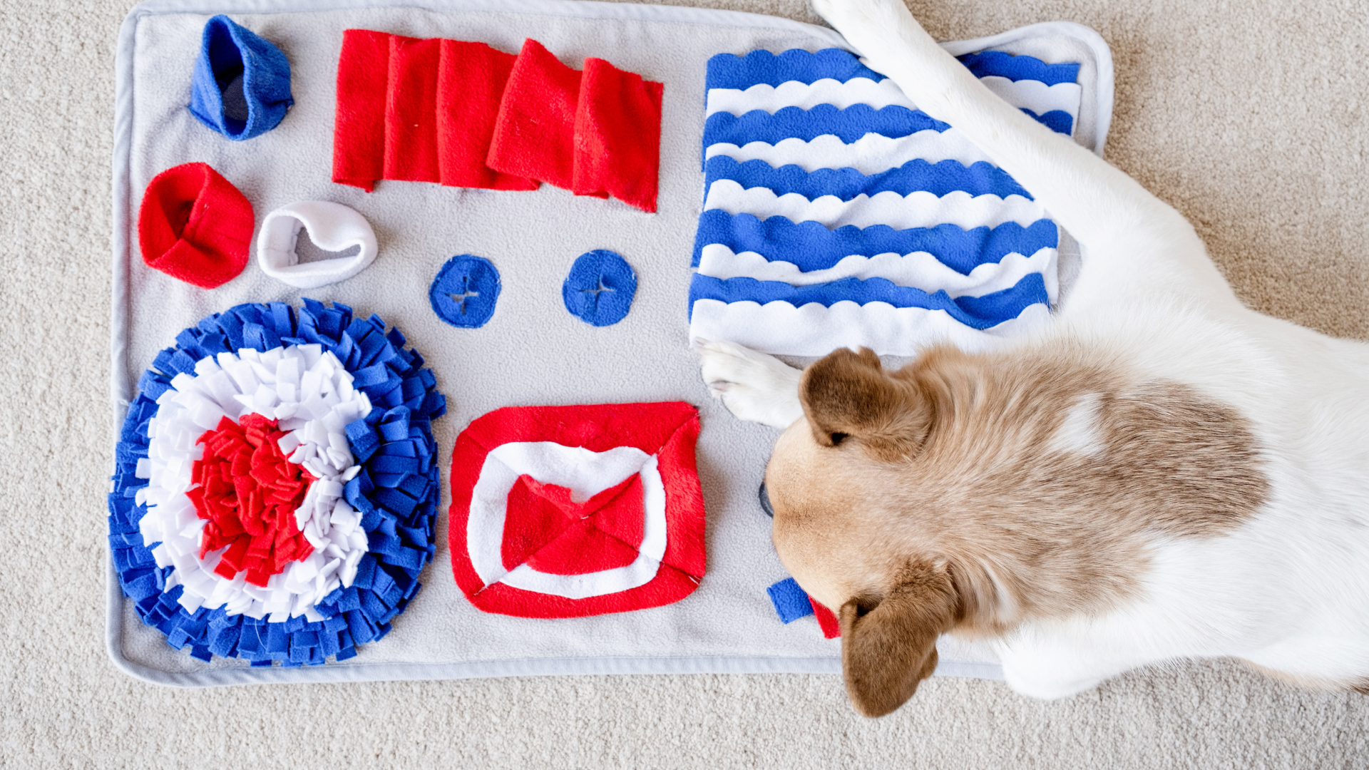 Dog Activity Mat