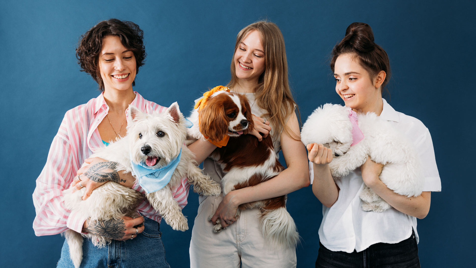Dog Moms Unite