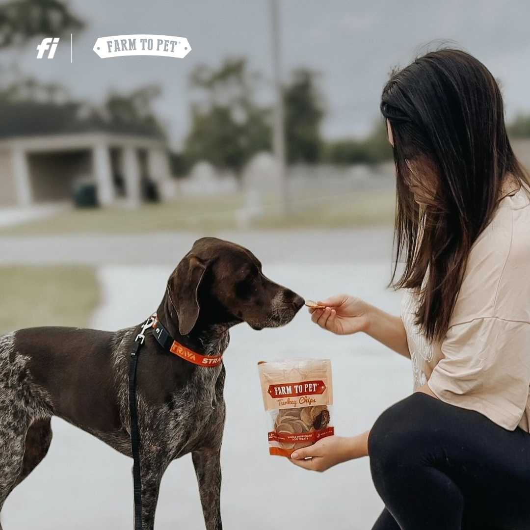 Want a T-R-E-A-T? How About a Lifetime Supply of Them? 🦴