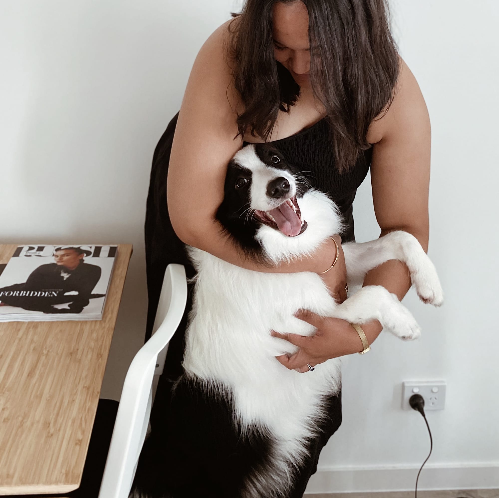 DOGFLUENCERS: Meet Billy, Instagram's Happiest Collie